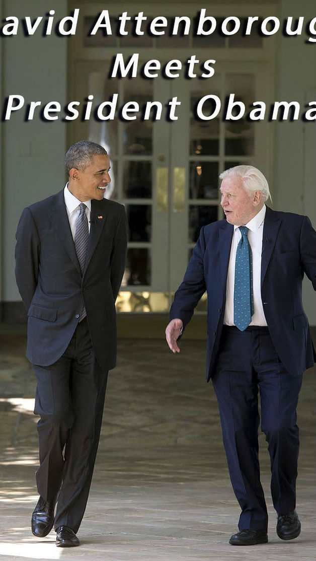 大卫爱登堡遇上奥巴马 When Attenborough Met Obama的海报