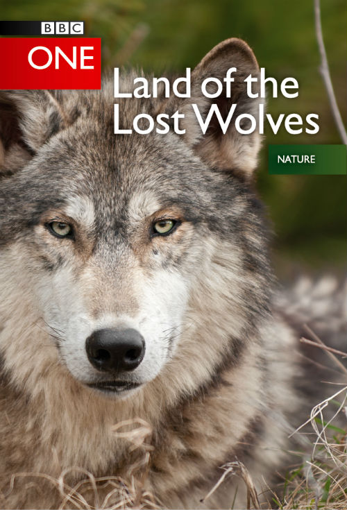 狼群 失落的领地 Land of the Lost Wolves的海报