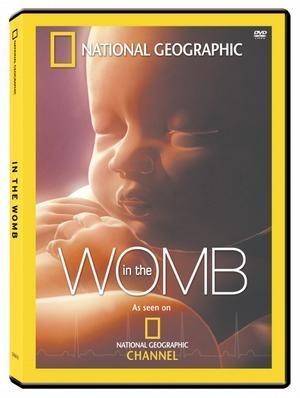 子宫日记：人类篇 In the Womb的海报