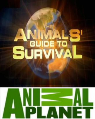 动物生存指南 he Animals' Guide to Survival的海报
