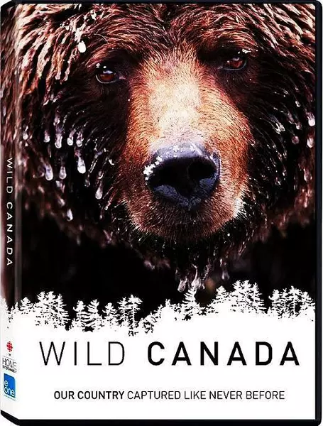 野性加拿大 Wild Canada的海报