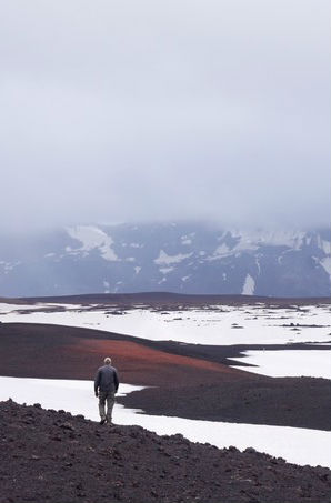 自然世界：冰岛：冰与火的国度 Natural World: Iceland: Land of Ice and Fire的海报