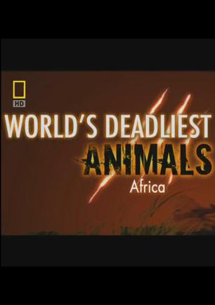 世界致命动物系列：非洲篇  World's Deadliest Animals: Africa的海报