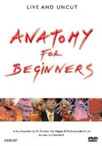 基础解剖学 Anatomy for Beginners