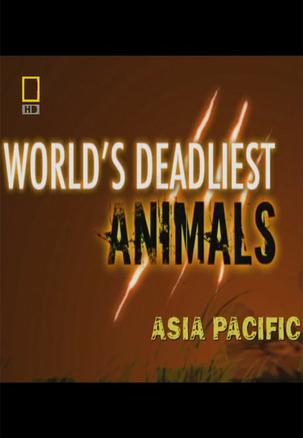 世界致命动物系列 Worlds Deadliest Animals Asia Pacific的海报