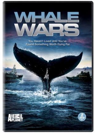 鲸鱼大战 第一季 Whale Wars Season 1/护鲸大战的海报