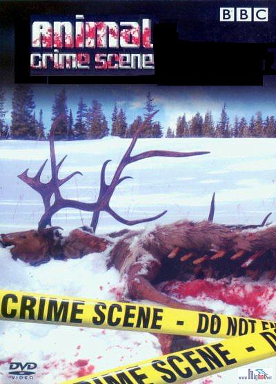 动物犯罪现场 Animal Crime Scene的海报