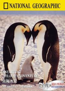 南极冰原 Antarctic Wildlife Adventure