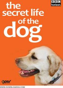 狗狗秘闻 The Secret Life of the Dog