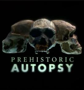 史前尸检 Prehistoric Autopsy / 解剖史前古尸