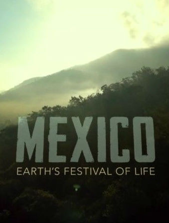 墨西哥：地球生命的狂欢 第一集 山的世界 Mexico: Earth's Festival Of Life  E01 Mountain Worlds的海报