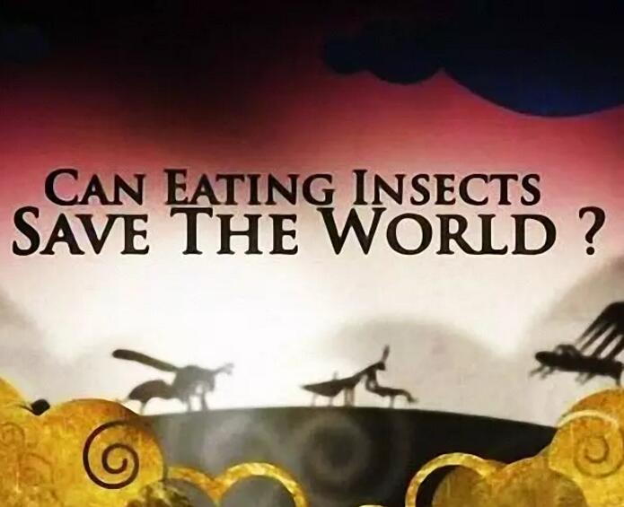 吃昆虫能拯救世界吗？ Can Eating Insects Save the World?的海报