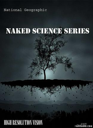 子弹研究 Naked Science Bullets的海报