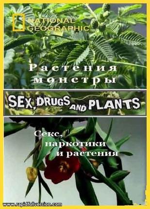 植物的奥妙世界 Sex, Drugs And Plants的海报