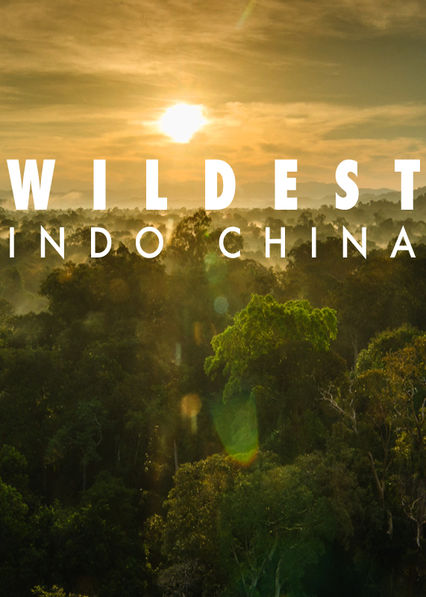 中南半岛野生大地 Wildest Indochina的海报