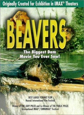 海狸 Beavers / 海狸一家的海报
