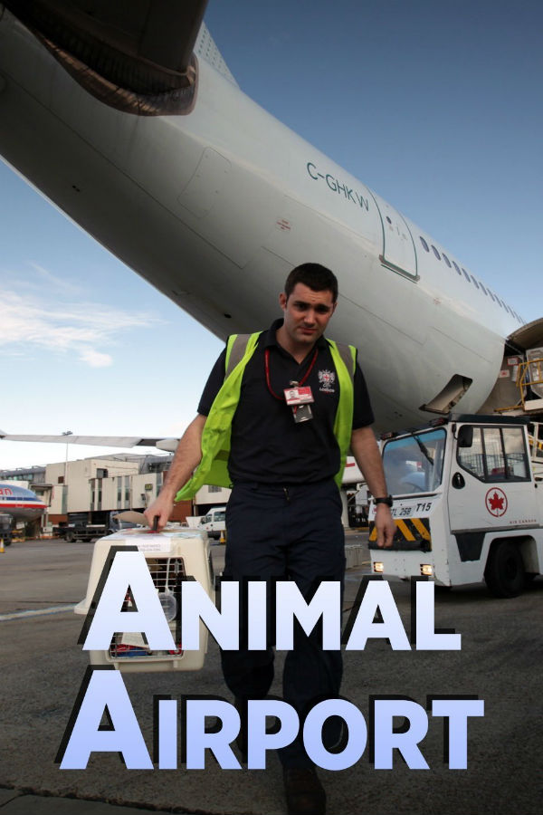 机场动物秀 Animal Airport的海报