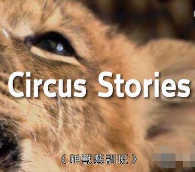 神兽艺训班 Circus Stories的海报