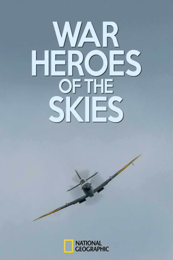 空战英雄  War Heroes of the Skies的海报