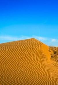 印度塔尔大沙漠 THAR:India’s Great Desert
