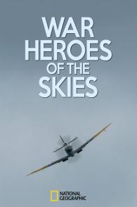空战英雄  War Heroes of the Skies