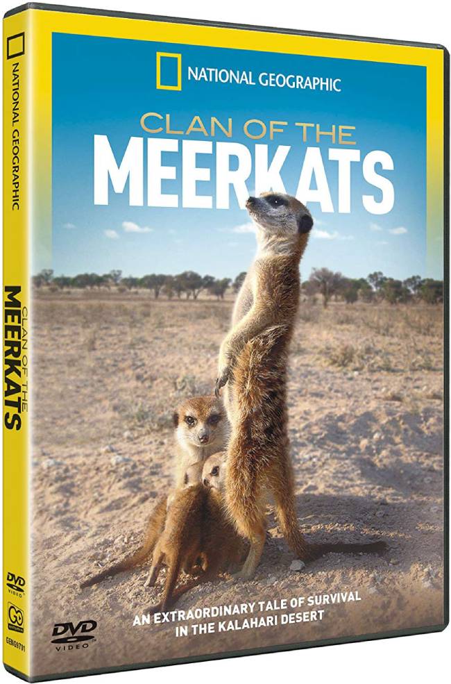 [BBC]狐獴家族 Clan of the Meerkat-熊猫纪录片下载