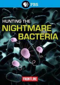 猎杀超级细菌 hunting the nightmare bacteria