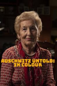 奥斯维辛集中营 彩色版 Auschwitz Untold In Colour