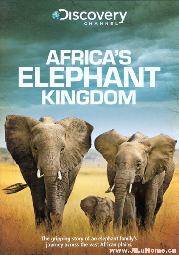 非洲的大象王国 Africa’s Elephant Kingdom 的海报