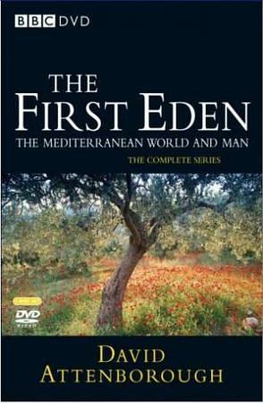 最初的伊甸园 The First Eden的海报