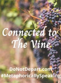 恋上葡萄酒 Exploring The Vine