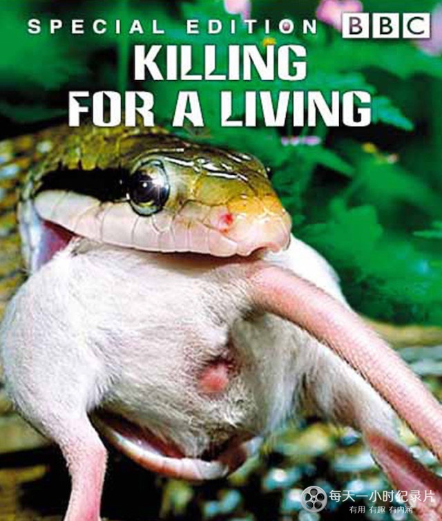 猎食者：为生存而杀戮 Predators: Killing for a Living的海报