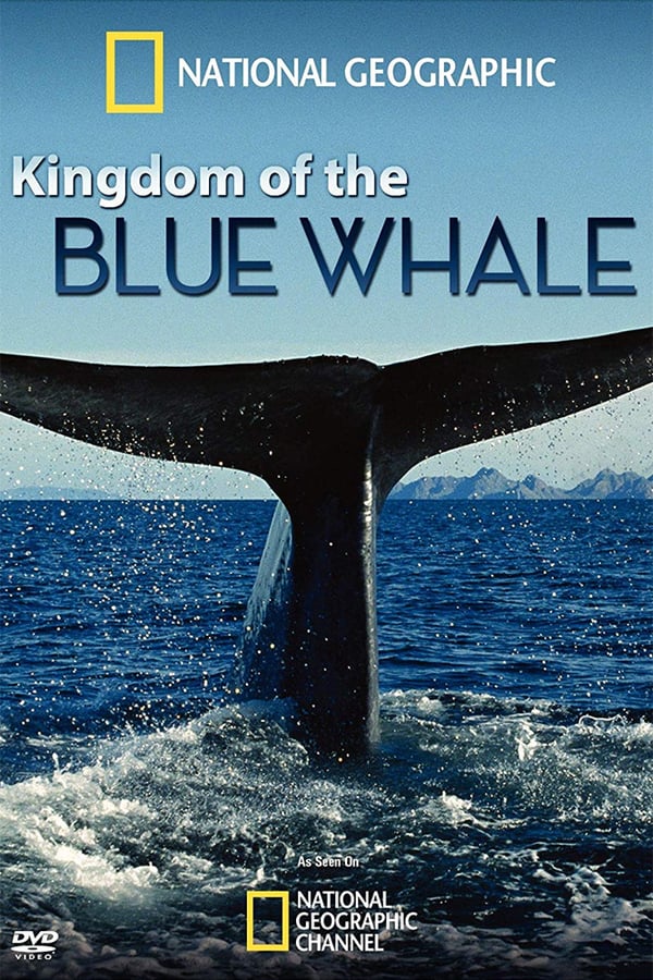 蓝鲸王国 Kingdom of the Blue Whale的海报