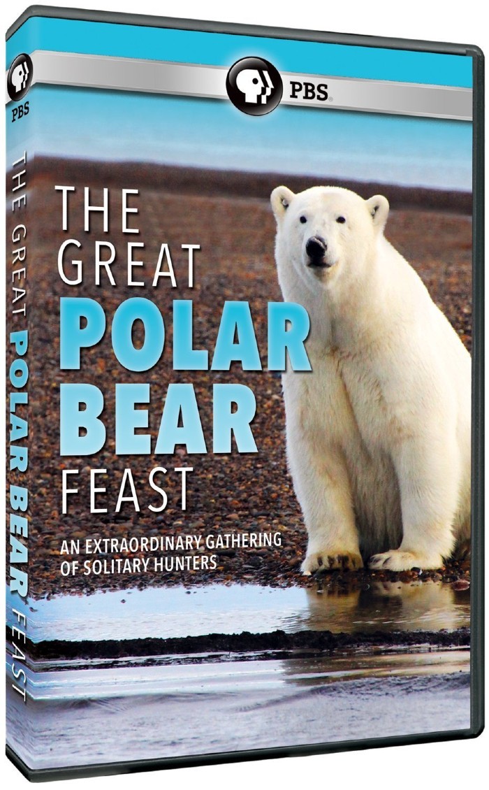 北极熊的盛宴 The Great Polar Bear Feast的海报