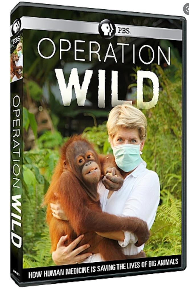 荒野救援 Operation Wild的海报