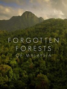 马来西亚被遗忘的雨林 Forgotten Forests of Malaysia
