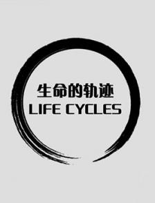 生命之轮 Life Cycles