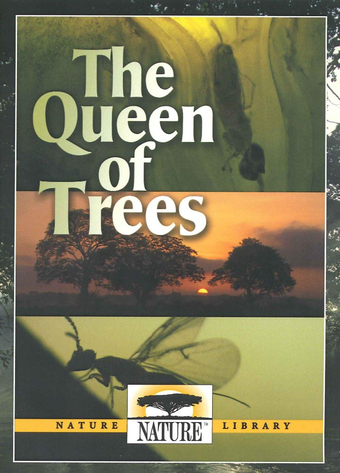 树之女皇 The Queen of Trees的海报