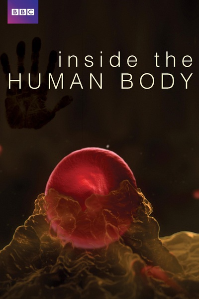 人体奥秘 Inside the Human Body的海报