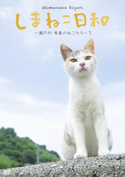 俺是猫，欢迎来俺家玩 しまねこ日和～瀬戸内・青島のねこたち～的海报