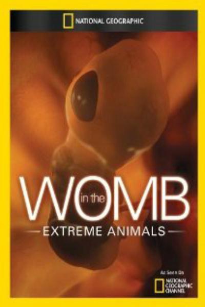 子宫日记：极端动物 In the Womb: Extreme Animals 的海报
