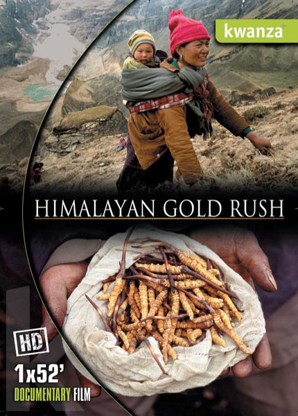 喜马拉雅大淘金 Hymalayan Gold Rush的海报