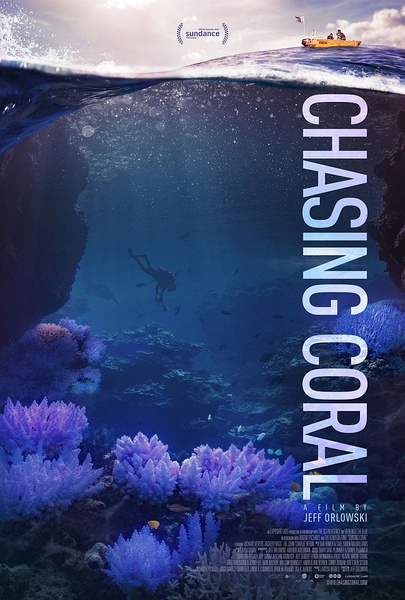 追逐珊瑚 Chasing Coral的海报
