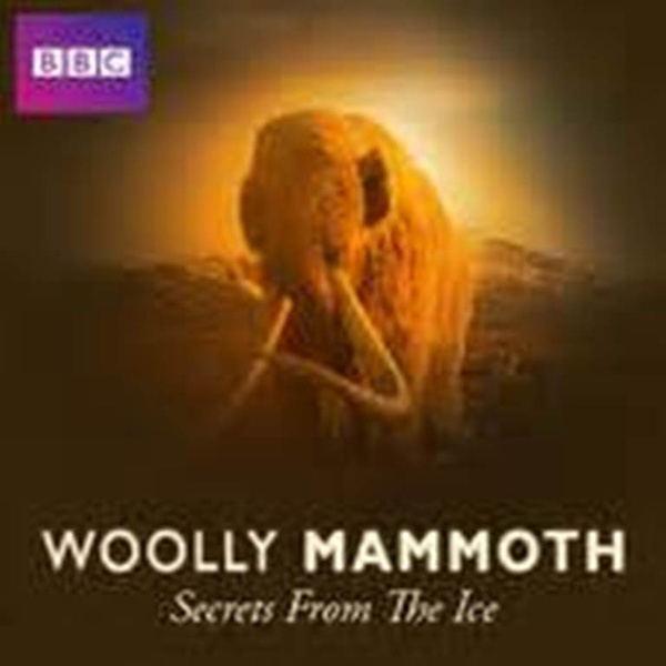 揭秘冰层中的巨兽——猛犸 Woolly Mammoth: Secrets from the Ice的海报