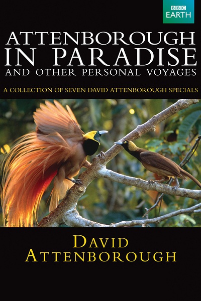 鸟的天堂 Attenborough in Paradise的海报