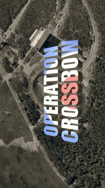 十字弓行动 Operation Crossbow的海报