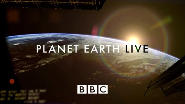 地球生存录 第二季 Planet Earth Live Season 2的海报