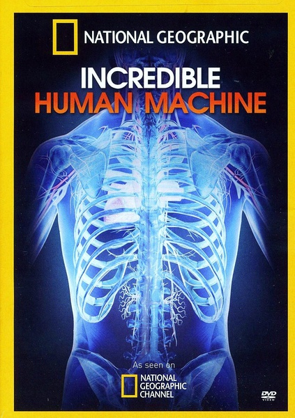 神奇的人体机器 Incredible Human Machine的海报