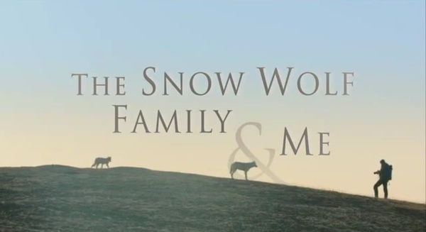 我和雪狼家族 Snow Wolf Family and Me的海报