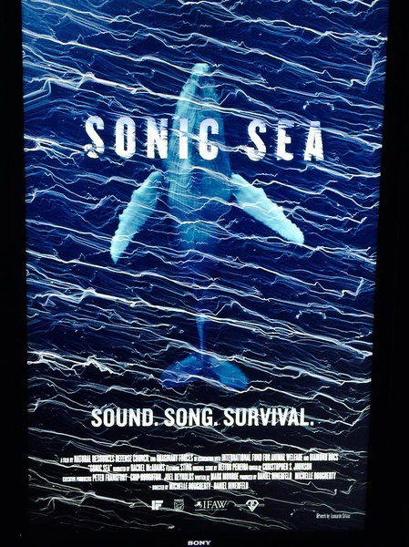 噪声海洋 Sonic Sea的海报